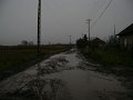 DSC01179